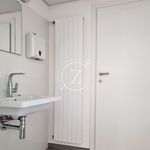 Rent 1 bedroom apartment of 259 m² in Balerna