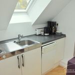 Rent 1 bedroom apartment of 40 m² in Hannover