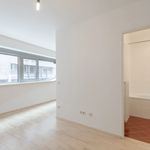 Miete 1 Schlafzimmer wohnung von 44 m² in Vienna