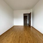 Pronajměte si 1 ložnic/e byt o rozloze 54 m² v České Budějovice