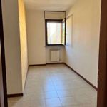 Affitto 3 camera appartamento di 85 m² in Cremona