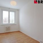 Rent 2 bedroom apartment of 40 m² in Brno