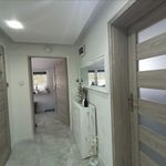 Rent 5 bedroom house of 270 m² in Rusiec