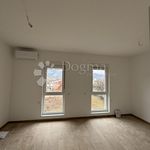 Rent 2 bedroom apartment of 95 m² in Dražice