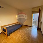 Rent 4 bedroom apartment of 100 m² in Padova