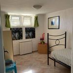 Affitto 3 camera appartamento di 70 m² in Tolfa