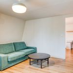 Rent 2 bedroom apartment of 42 m² in Roubaix