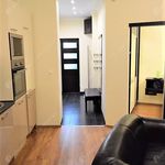 Rent 1 bedroom apartment of 41 m² in Budapest