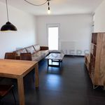 Rent 1 bedroom apartment of 58 m² in Pilsen