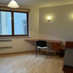Rent 1 bedroom apartment of 28 m² in Poznan