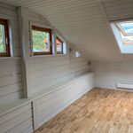 Rent 1 bedroom apartment of 27 m² in Trondheim