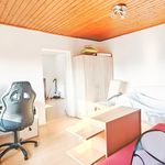 Rent 4 bedroom apartment of 43 m² in Wels