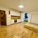 Rent 1 bedroom apartment of 30 m² in Píšťany