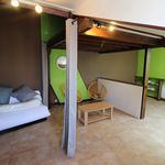 Rent 1 bedroom apartment of 26 m² in reims