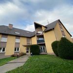 Rent 1 bedroom apartment in Bartenheim