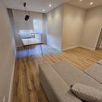 Rent 3 bedroom apartment of 90 m² in Logroño