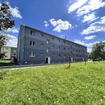 Rent 3 bedroom apartment of 55 m² in Horní Slavkov