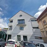 Rent 1 bedroom apartment of 50 m² in Mistelbach