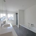 Rent 3 bedroom house of 200 m² in Maasmechelen