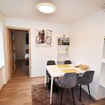 Rent 1 bedroom apartment of 45 m² in Jablonec nad Nisou