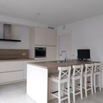 Rent 1 bedroom apartment in Dilbeek