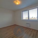 Rent 2 bedroom apartment of 46 m² in Brno