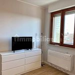 Rent 1 bedroom apartment of 35 m² in Novara