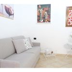 Affitto 2 camera appartamento di 50 m² in Firenze