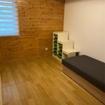 Wynajmij 4 sypialnię dom z 120 m² w Bielsko-Biała