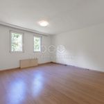 Rent 4 bedroom house of 170 m² in Kraslice