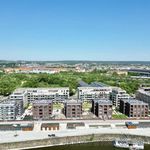 Rent 4 bedroom apartment of 124 m² in Dresden