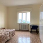 Affitto 4 camera appartamento di 200 m² in Catanzaro