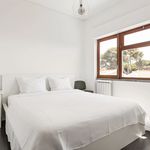 Alugar 6 quarto apartamento de 124 m² em Bairro do Rosário