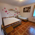 Rent 3 bedroom apartment of 85 m² in Sestola
