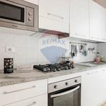 Affitto 5 camera appartamento di 90 m² in Viareggio