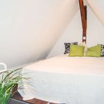 Miete 1 Schlafzimmer wohnung von 36 m² in cologne