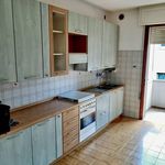 Rent 4 bedroom apartment of 110 m² in Padova