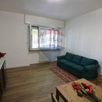 Rent 2 bedroom apartment of 55 m² in Cremona