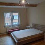 Rent 5 bedroom apartment of 167 m² in Anderlecht