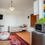 Rent 1 bedroom apartment of 29 m² in Duisburg