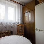 Rent 3 bedroom apartment of 46 m² in Zielona Góra