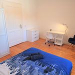 Rent 4 bedroom apartment in Bonn