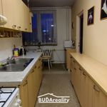 Rent 3 bedroom apartment of 75 m² in Zlín