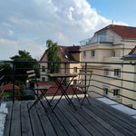 Rent a room of 270 m² in Prague