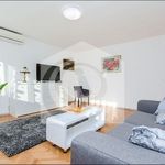 Rent 1 bedroom apartment of 50 m² in Slatine