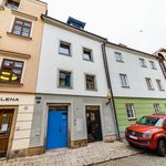Rent 1 bedroom apartment in Jihlava