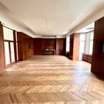 Rent 3 bedroom apartment of 173 m² in Plzeň