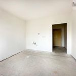 Rent 1 bedroom apartment of 36 m² in Duchcov