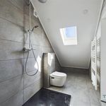 Rent 4 bedroom house of 300 m² in Arlon
