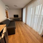 Pronajměte si 2 ložnic/e byt o rozloze 44 m² v Zruč-Senec
